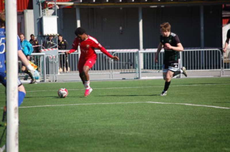 Bild 15