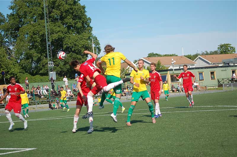 Bild 12