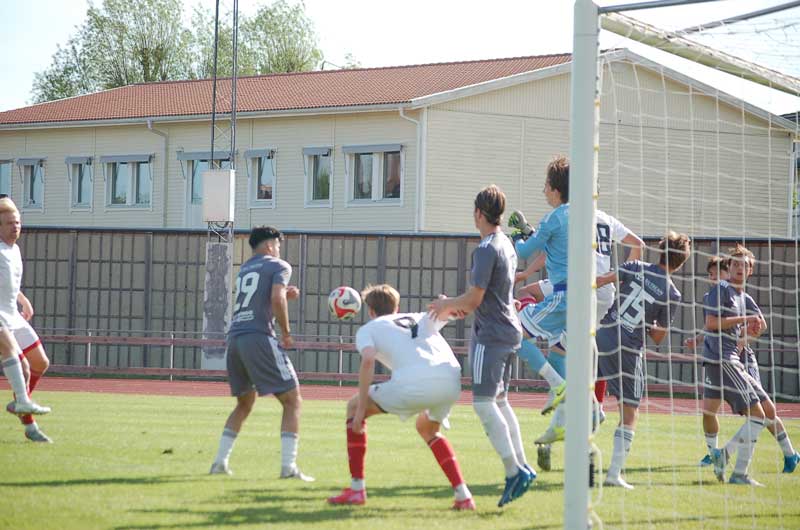 Bild 12