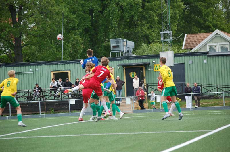 Bild 19